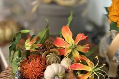 95806E6A-068B-4119-A58E-87B1345DA3A4-scaled