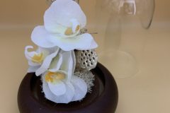 1F31E853-FD98-4E35-932A-C645D869849B-scaled