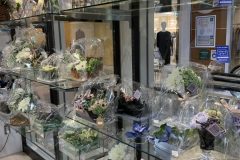 336E81E9-59BC-4ECE-BE38-8EBC840ED1E1-scaled