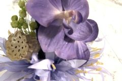 EBD6A8D2-D17C-4810-A93A-9F8F9488F859-scaled